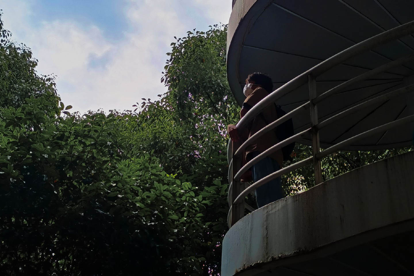 雾质站在林木环绕的建筑平台上